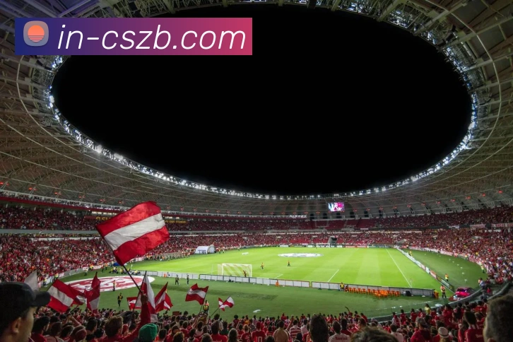 彩神争霸服务体系